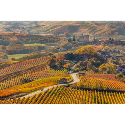 Hettick Hettick Road Through Autumnal Vineyards - Wrapped Canvas Print