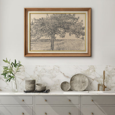 Gray Tree In The Countryside Classic Sketch Elegant Monochrome Illustrations Rustic French Country