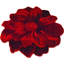Tapis à motif floral rouge Kunzler-349811045