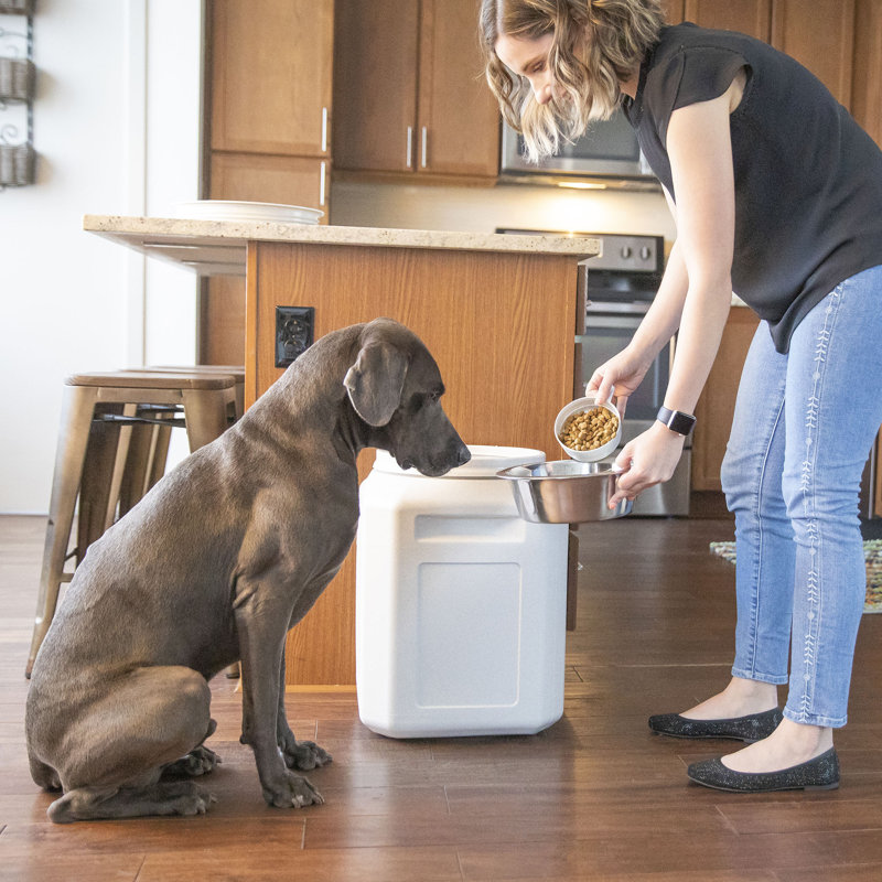 Large Gray BPA-Free Plastic Pet Food Storage Container