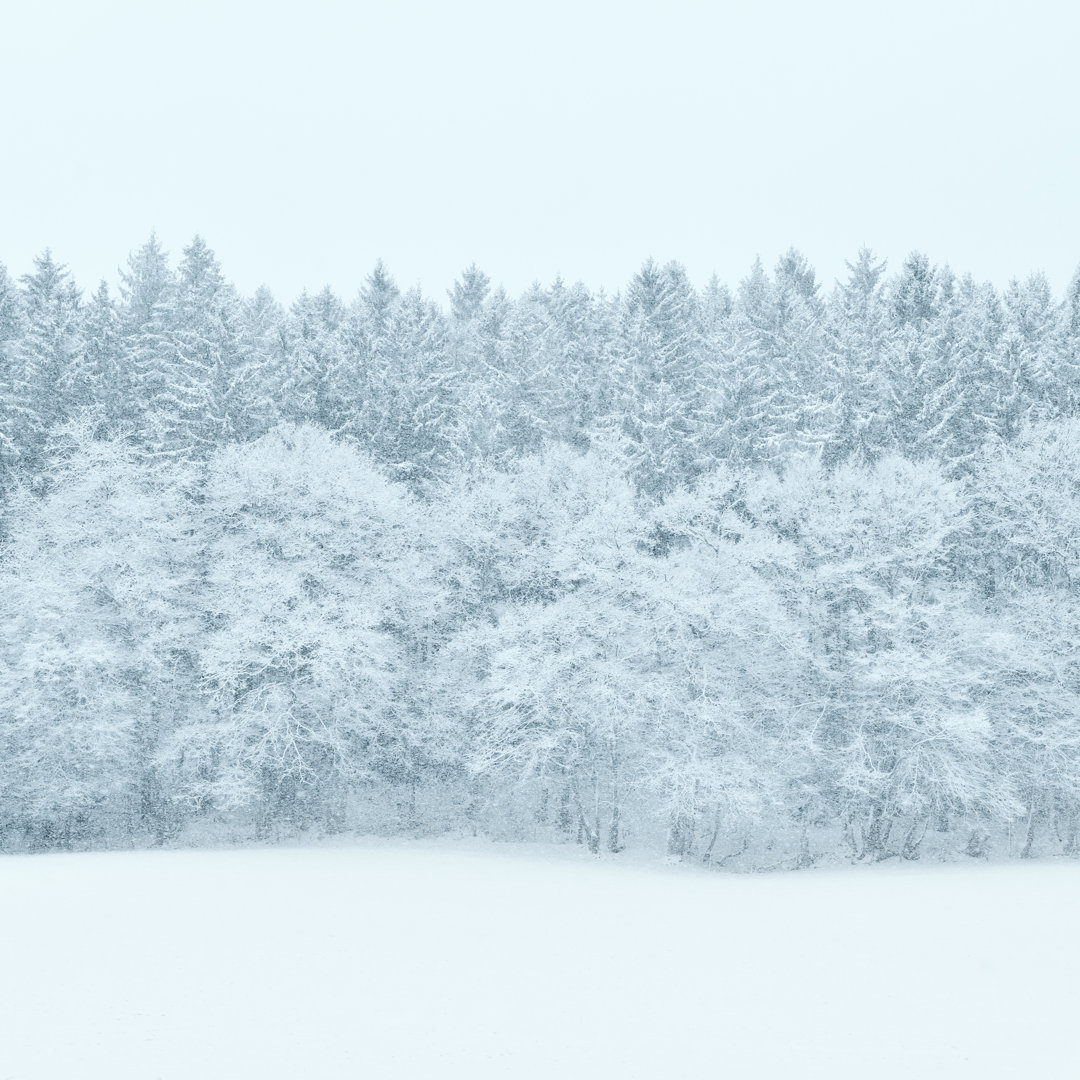 Winter-Hintergrund von Trendobjects - Wrapped Canvas Foto