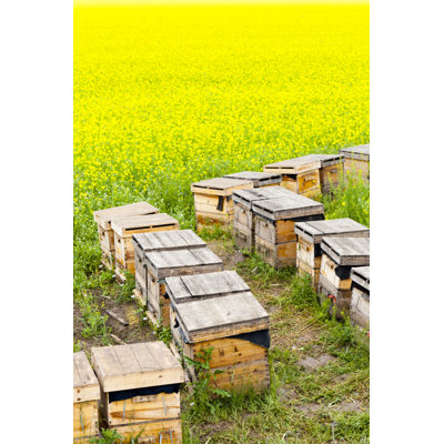Neylandville Beehives par Hanhanpeggy