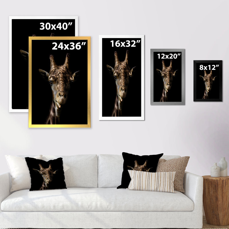 " Close Up Giraffe On Black ", Black Picture Framed Canvas, 20" H x 12" W