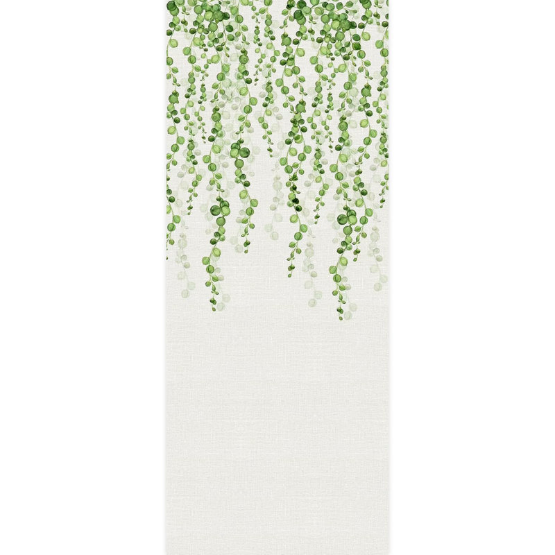 Bordure florale pelez et collez, L 120 po x l 48 po