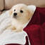 Couverture en molleton doux Microplush-631108276-657181713