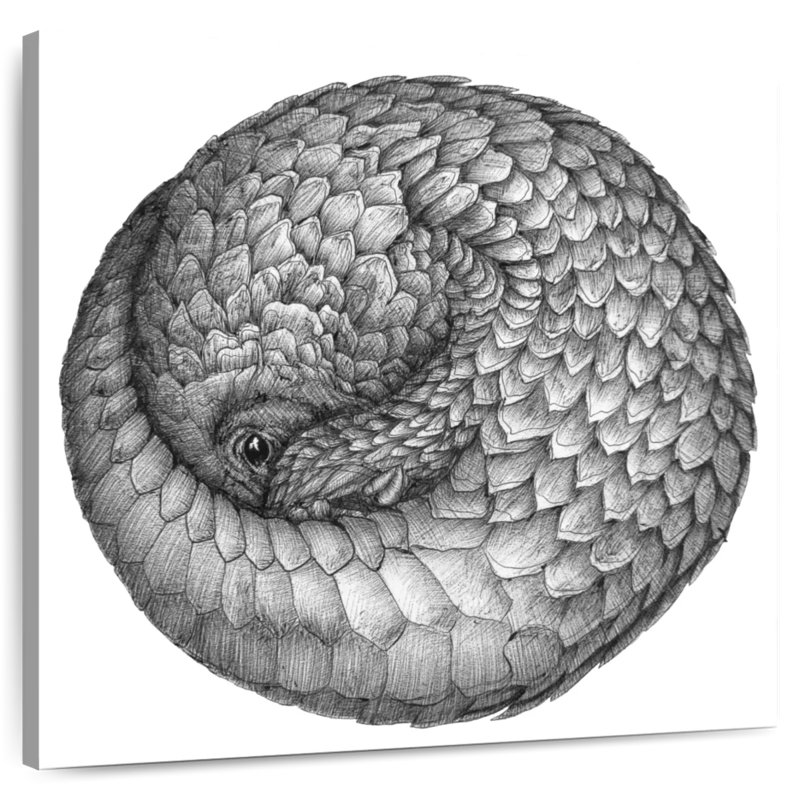 Brampt Pangolin Ball, 36" H x 36" W