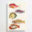 East Indies Fish Illustrations Fol. 21 by Louis Renard - Wrapped Canvas-55342663