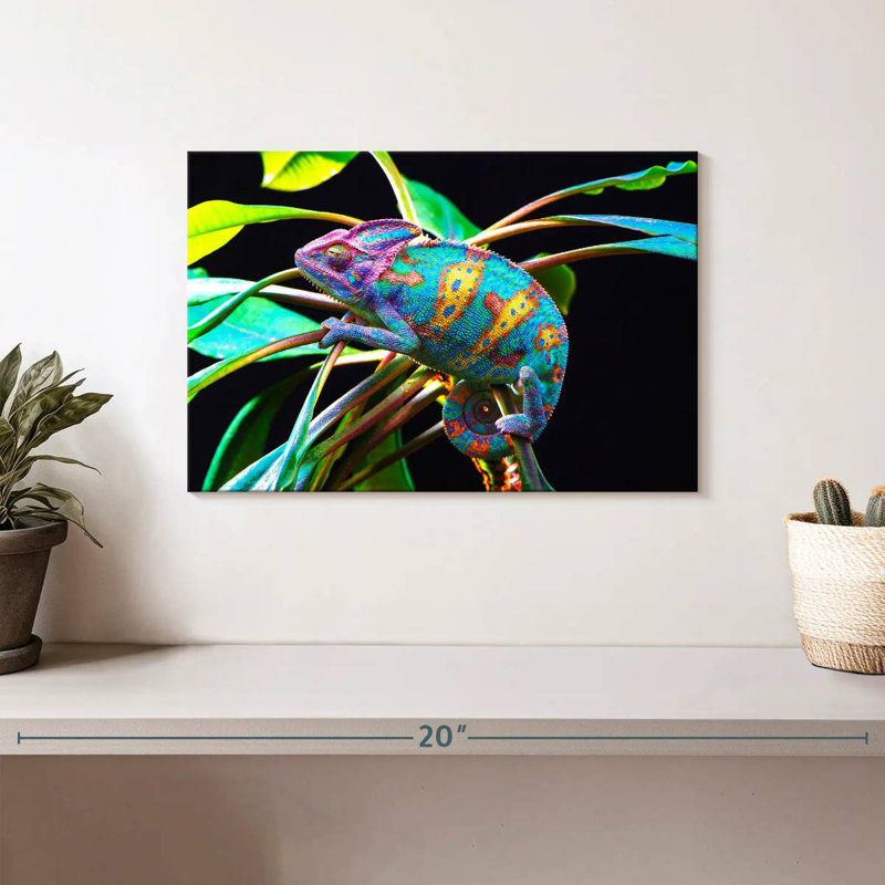 Brampt Chameleon, 8" H x 12" W