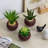 7'' Faux Succulent in Ceramic Pot