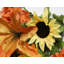 Douille mélangée 36 fleurs-1073783311