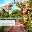 Mercier 140cm W x 38cm D Iron Arbour in Black