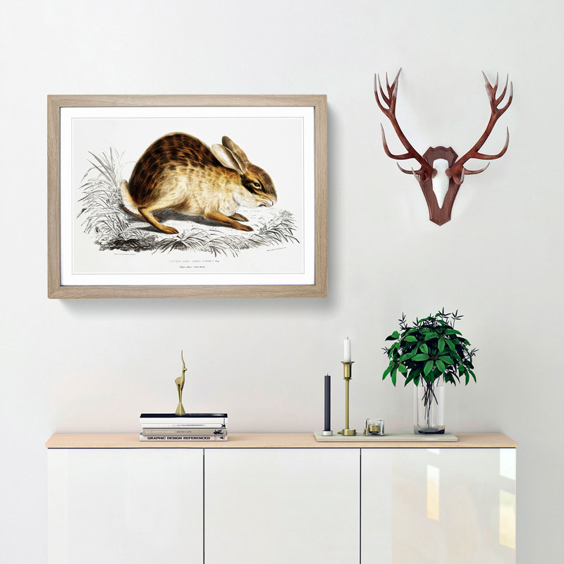 Chinese Hare by John Edward Gray - Picture Frame Painting Print, 27cm H x 36cm W x 2cm D, Black Framed