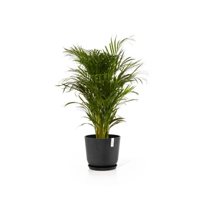 Pot Planter
