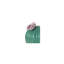 Ferocactus Cactus Gardens of Valencia Scent-101945216