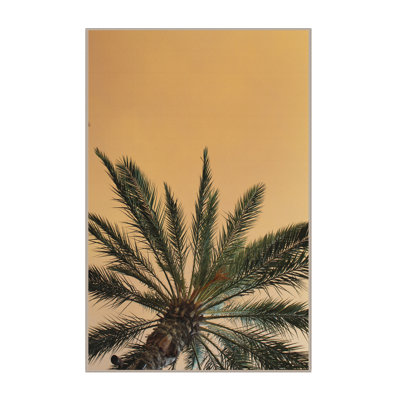 Tapis jaune / vert