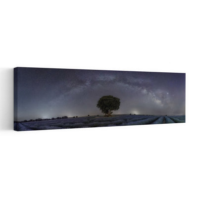 Art mural de paysage de paysage