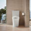 Veil Elongated Toilet Bowl With Skirted Trapway-577078726