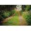 «Going Home» par Elizabeth Urquhart - reproduction d'art sur toile tendue-106692712-106692717-125315274