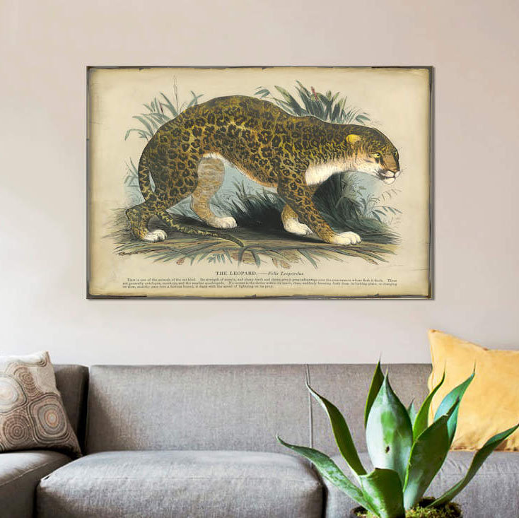 " Leopard " by PI Collection, 26" H x 40" W x 1.5" D, No Mat, Wrapped Canvas