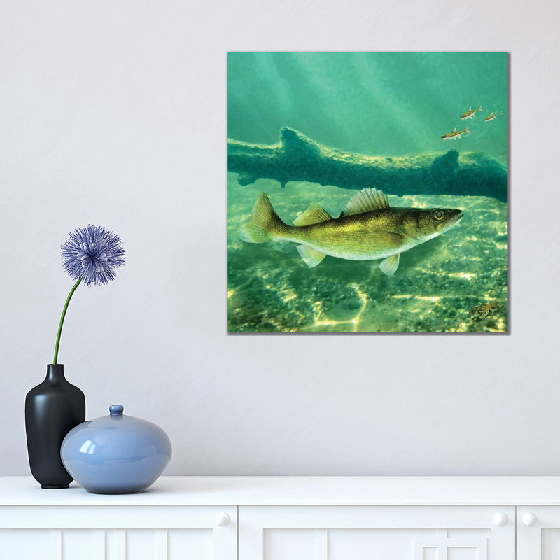 Deep Water Walleye - Wrapped Canvas Print, 45.72 cm H x 45.72 cm W x 1.91 cm D