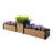 Raised Garden Bed