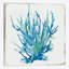 «Blue Coral IV», reproduction sur toile-31802967-73201797-73201792