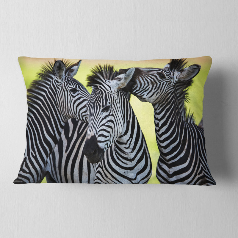 Coussin lombaire à baisers et sociales africain zèbres