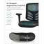 Binisha Office Chair