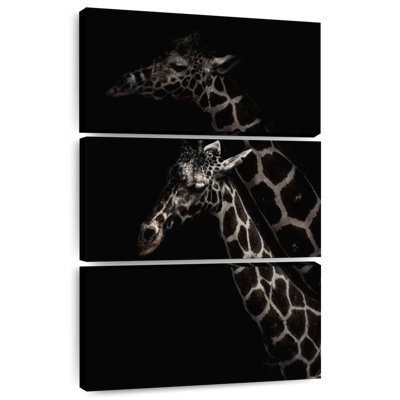 Two Masai Giraffes