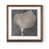 Maple Framed Paper n'est pas disponible
