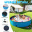 Piscine pliable multi-usages pour chiens et enfants-111656389
