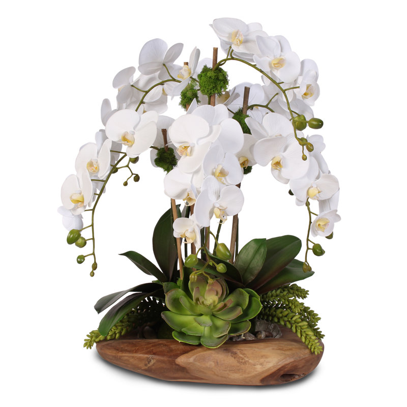 Real Touch Silk Orchid Faux Floral Arrangement
