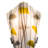Kayme Flush Mounted Sconce