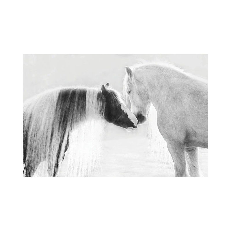 Collection Of Horses III by PHBurchett - Wrapped Canvas Print, 30.48 cm H x 45.72 cm W