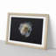 A Crisp White Rose in Abstract - Picture Frame Graphic Art Print-55629530-55629535