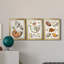 Collection de coquillages I - ensemble de 3 cadres photo sur toile-2017753905-2017753909