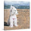 «Enjoying the Wind» par Parvez Taj, reproduction d'art sur toile tendue-664590601