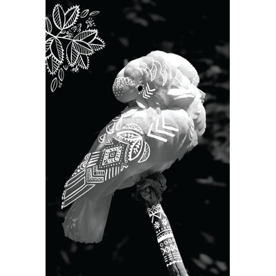 Draw Bird Draw - Wrapped Canvas Print