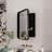 16X24 Inch Recessed Black Metal Framed Mirror Cabinet For Bathroom - Adjustable Shelves, - Finish Stylish Appearance-209628592