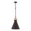Luminaire suspendu 1 lumière Fenric 13,75 po-124505419