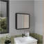 Pharmacie H 21,1 po, 1 porte, 4 tablettes, 1 miroir, noir-982544182