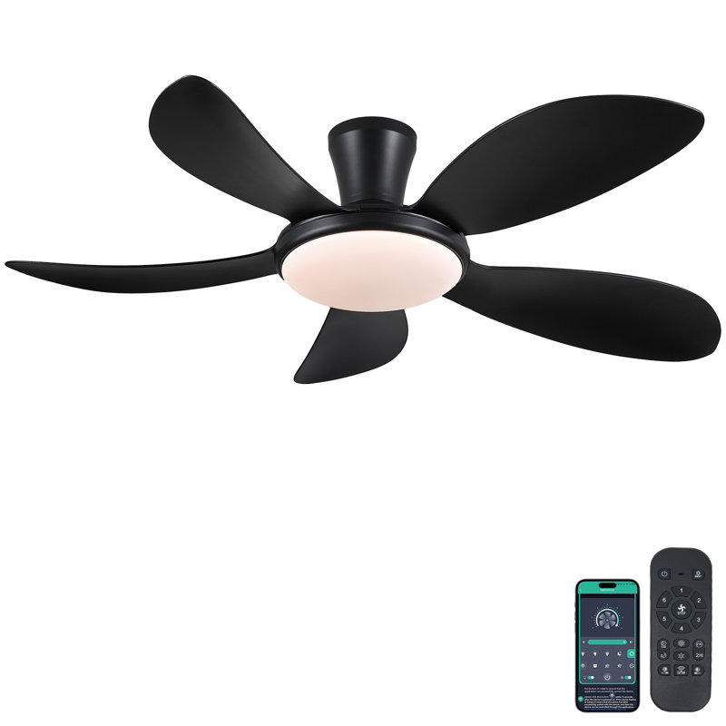 Ventilateurs de plafond 48 "avec lumières