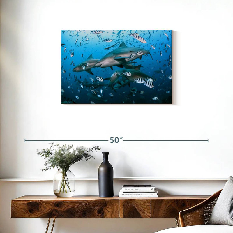 Aletra Beqa Lagoon Sharks, 20" H x 30" W