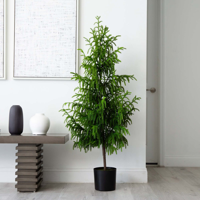 Artificial Norfolk Pine Tree, 5'