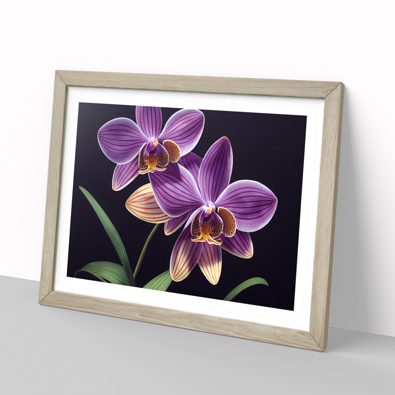 Unbeatable Orchid Flowers - Framed Print, 25cm H x 34cm W x 2cm D, Oak Framed