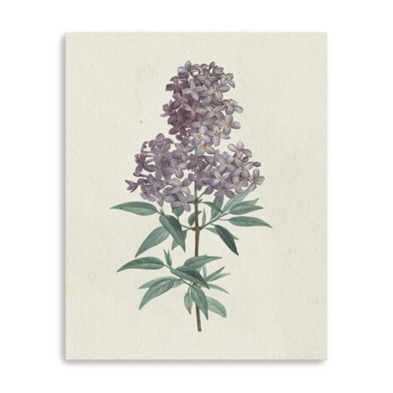 Singulier fleur mauve non encadrée, art mural