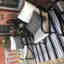 Photos des clients 1 de 1