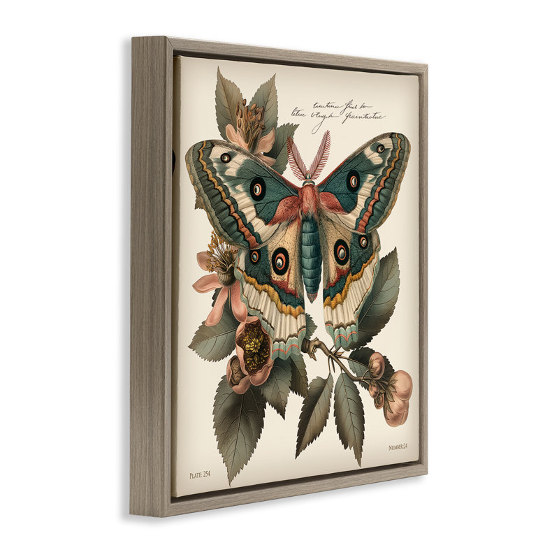 Art mural sur toile flottant vert à motif papillon de nuit par Steve Huntziker, Cadre flottant orme Montalcino