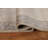 Wool Oriental Indoor Rug