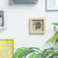 Nicola Spring - 3D Box Photo Frame-50928720-50928719